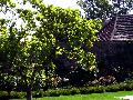 gal/holiday/Yeovil Area 2007 - Tintihull Gardens/_thb_Tintinhull_Gardens_P1010049.jpg